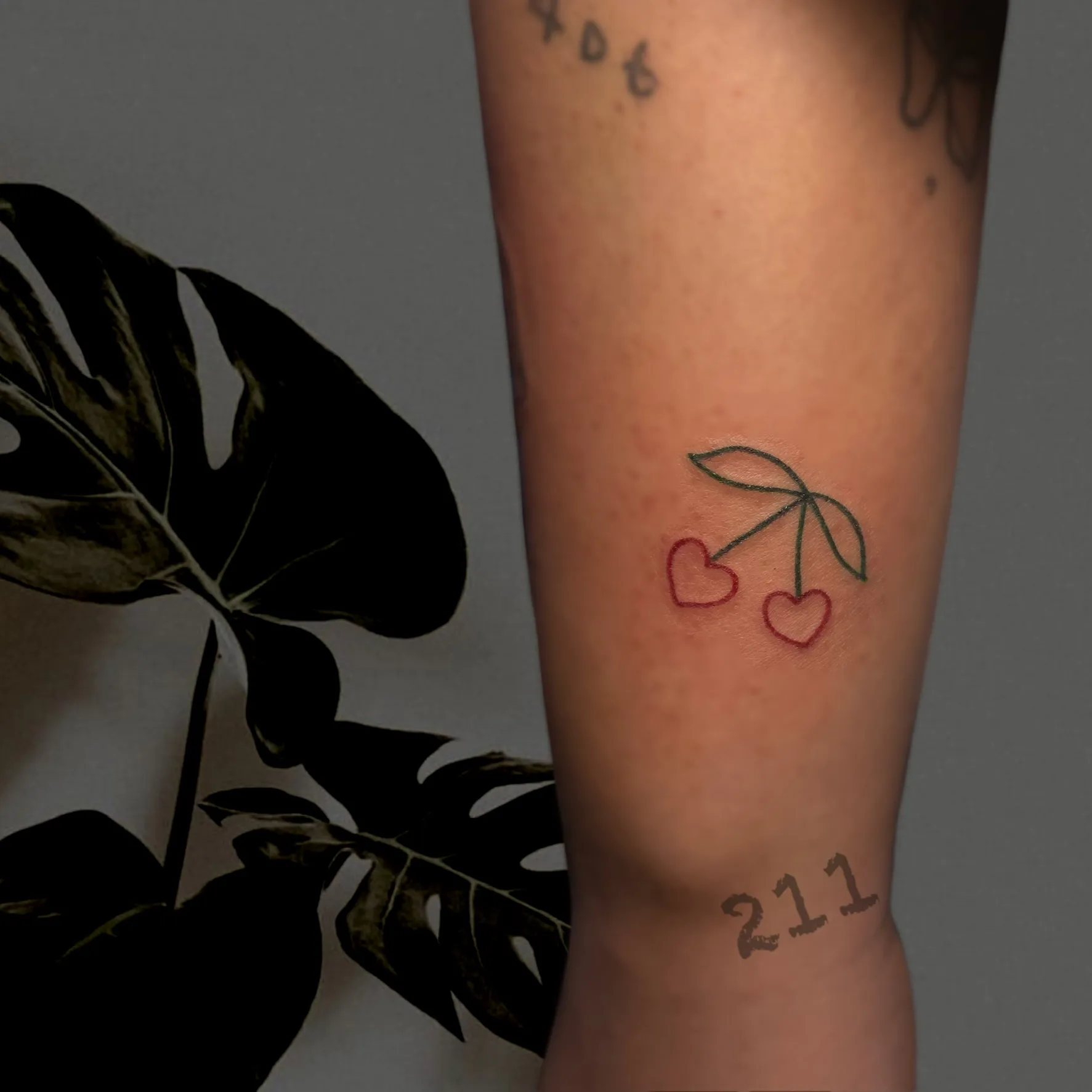 ํํธ ์ต๋ ํํฌ - 1