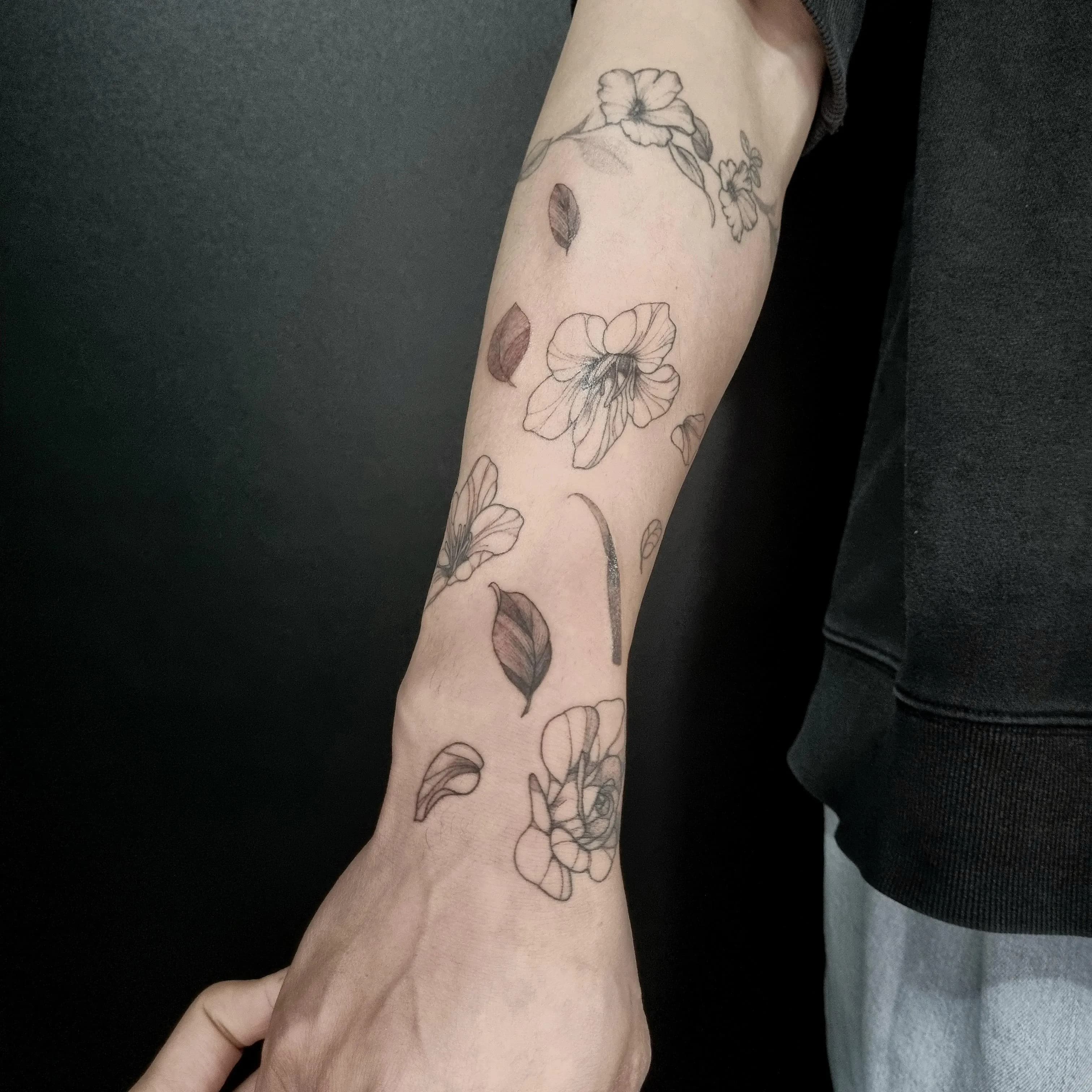 ํํํฌ, ๋จ์ํํฌ, ์ฌ์ํํฌ, ๊ฝ์ํํฌ, ์ฅ๋ฏธํํฌ, ๊ธดํํํฌ, ๋ฐํํํฌ, ํ๋ํํฌ, ๊ฝํํฌ - 1