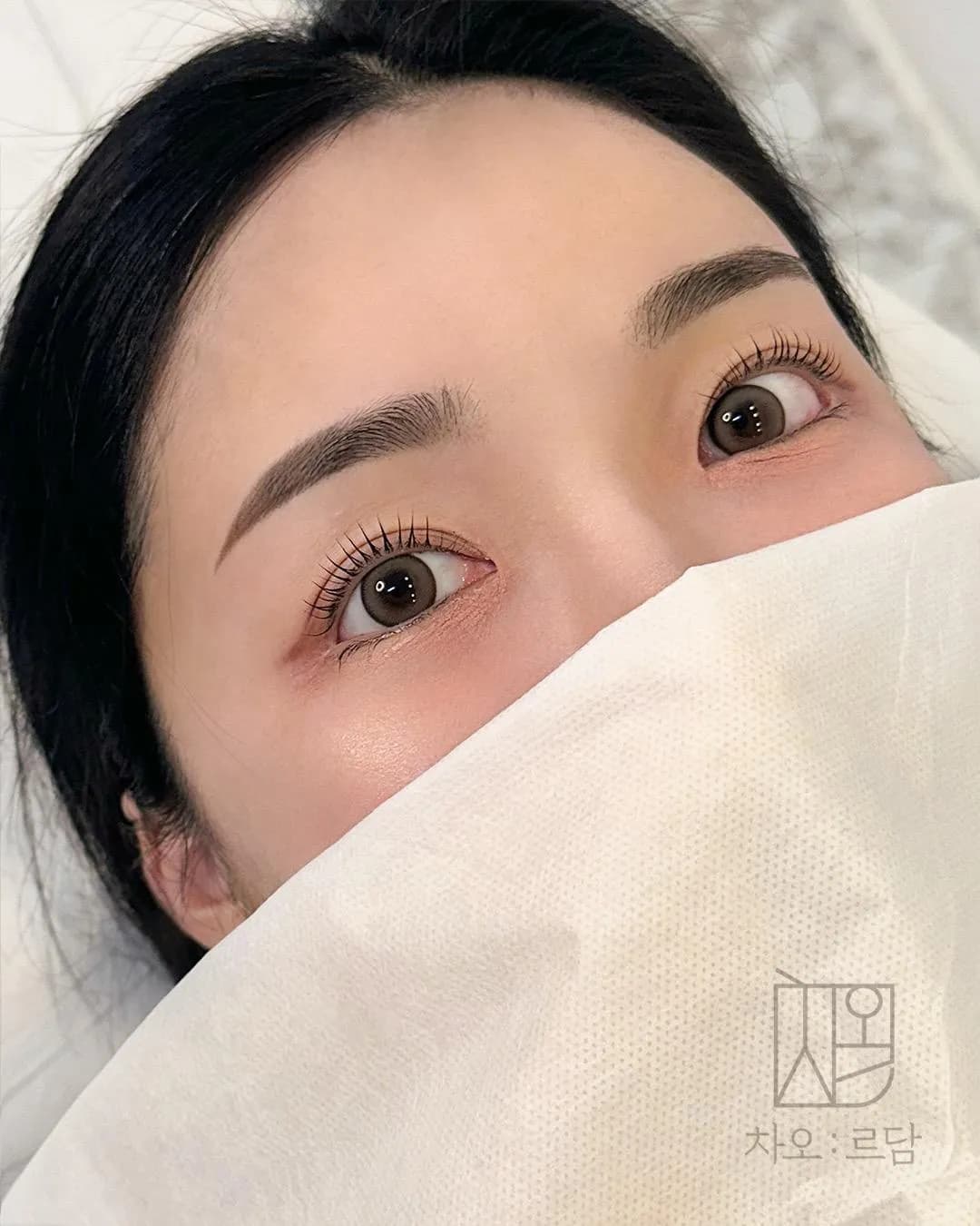 차오르담 여자눈썹