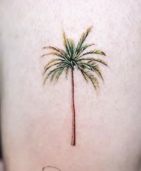 ์ผ์์ ํํฌ - 1