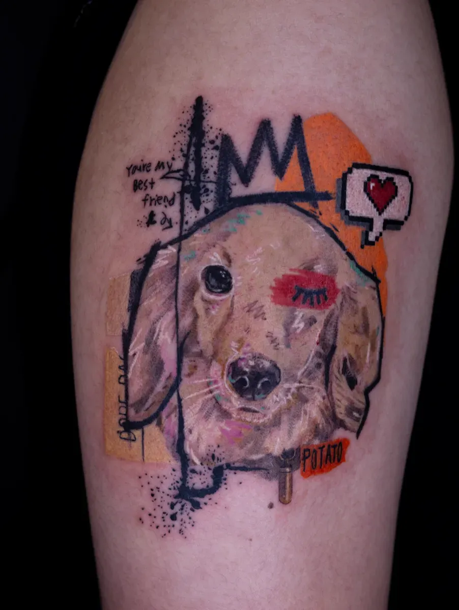 ๋ฐ๋ ค๊ฒฌํํฌ