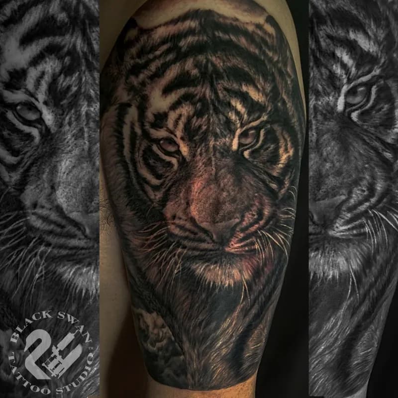 성남타투 / 모든장르가능 / 호랑이타투