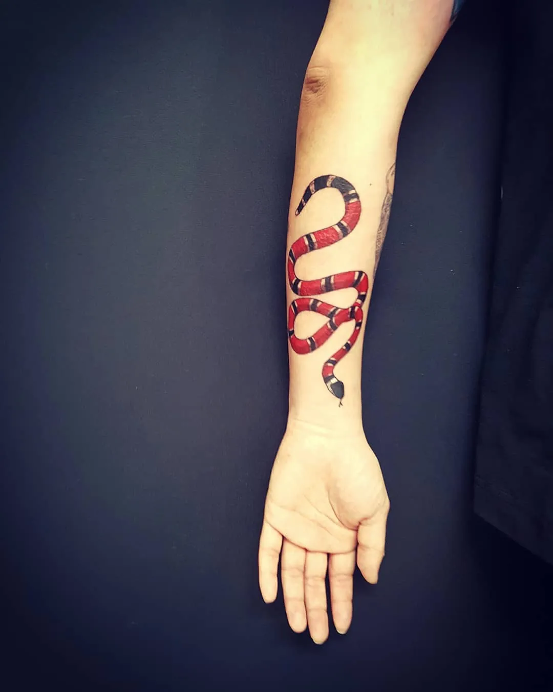 목포타투 TS타투 구찌뱀 타투