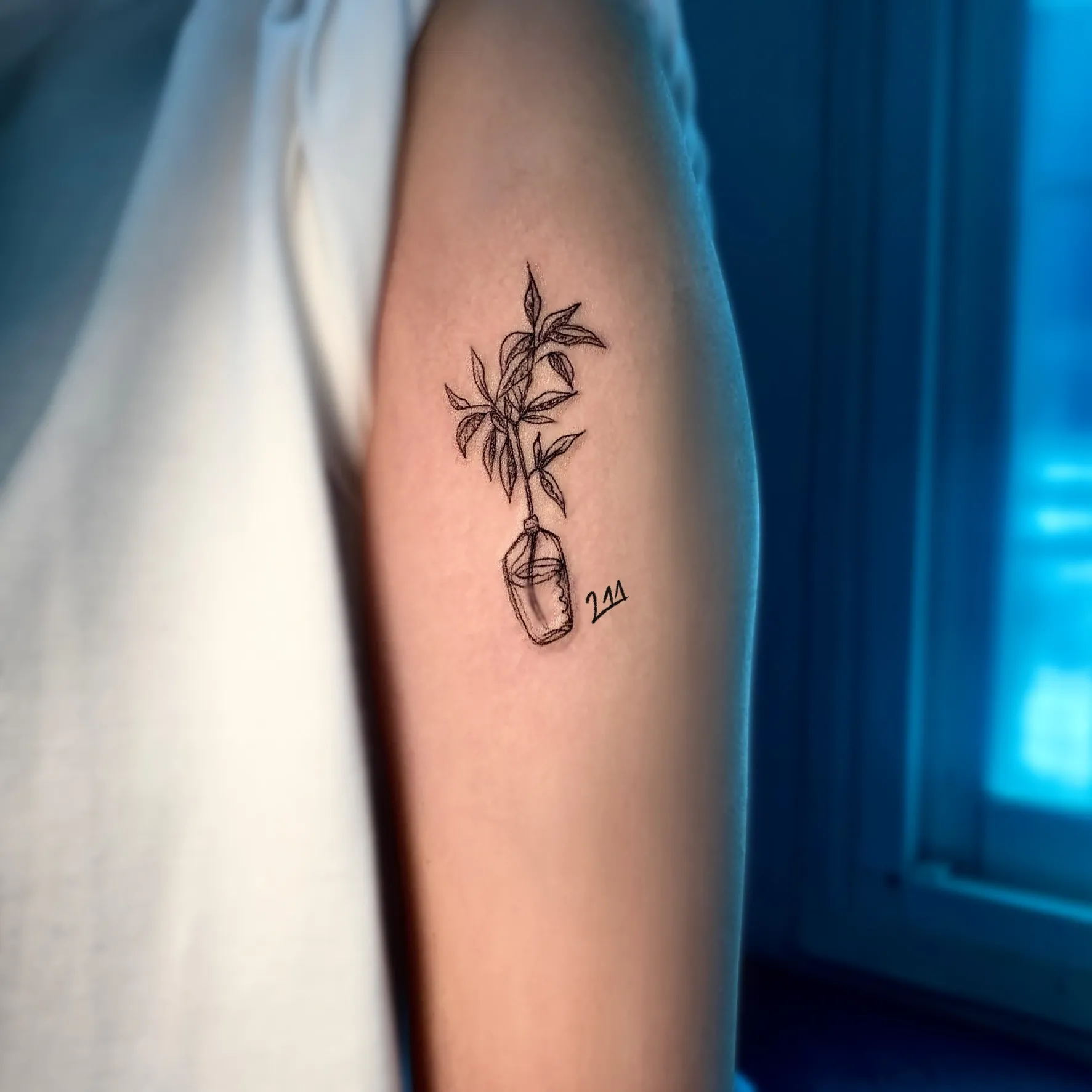 ๋๋ก์ ํ๋ณ ํํฌ - 1