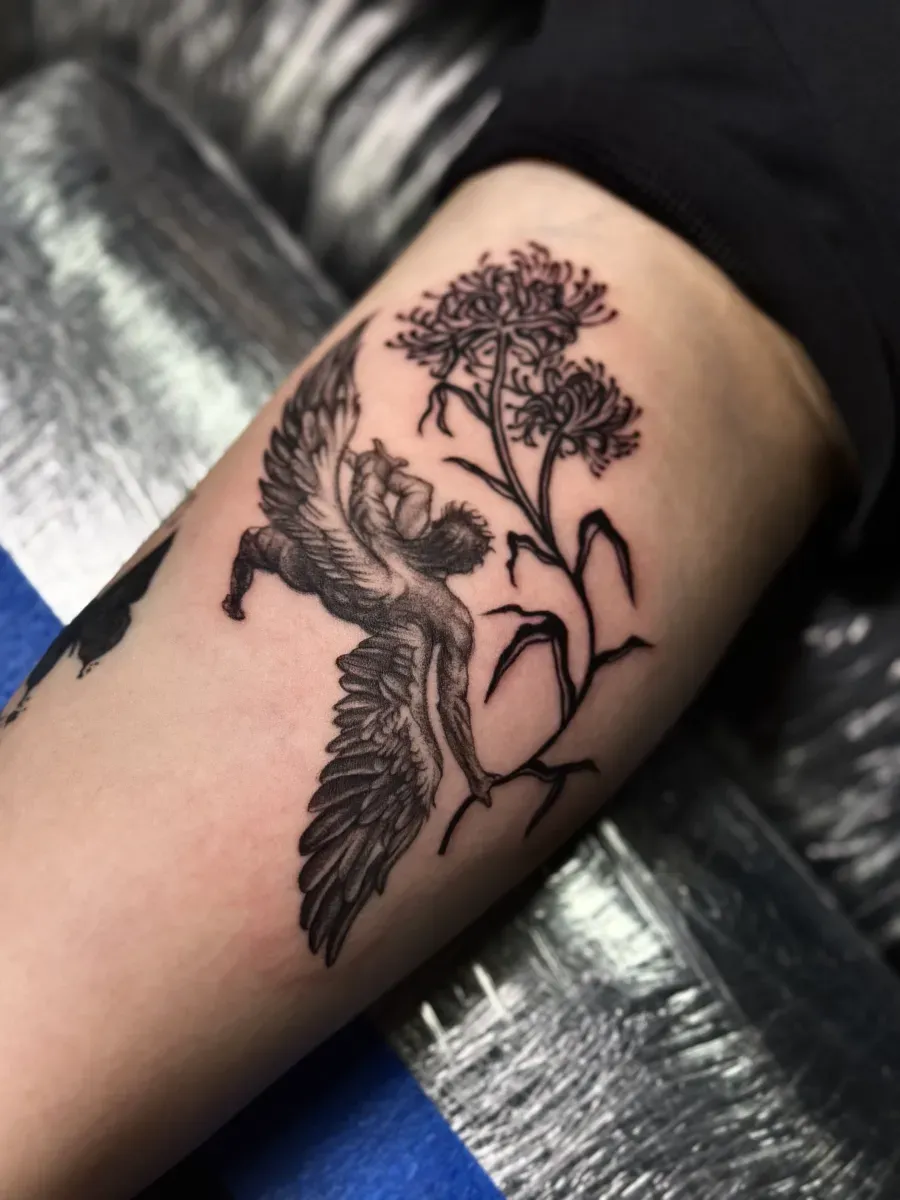 이카루스 & 블랙 포인트 국화 - 1