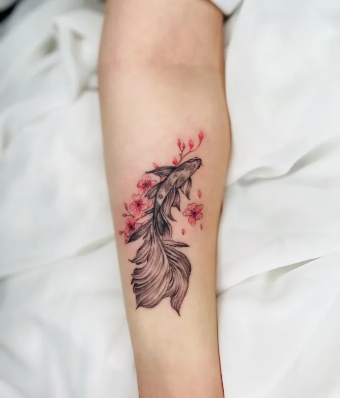 ์์ฑํ์์ด