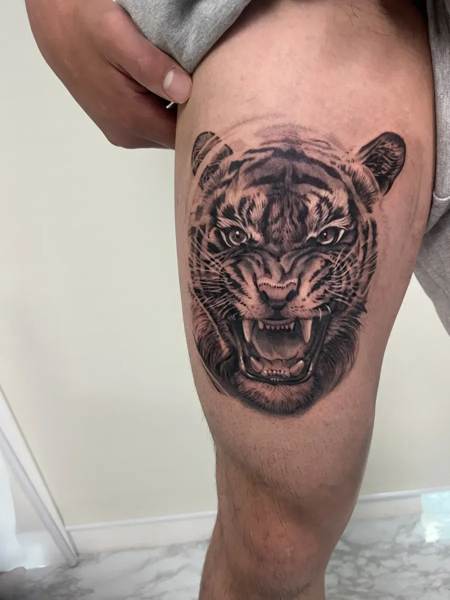 ๋งน์ํํฌ ํธ๋์ดํํฌ ๋๋ฌผํํฌ