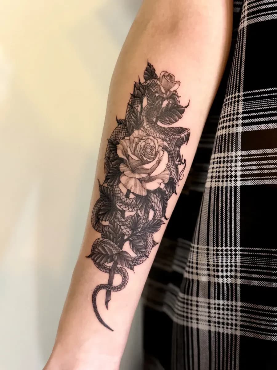 ๋ฑ๊ณผ ์ฅ๋ฏธ