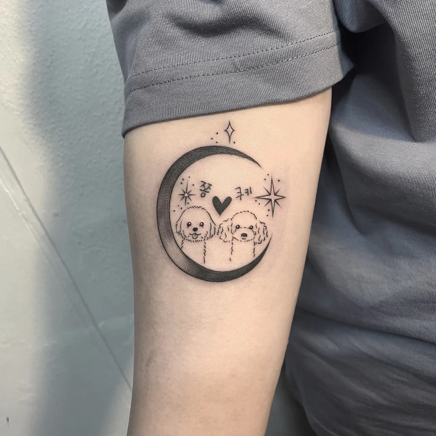 반려묘타투 반려견타투