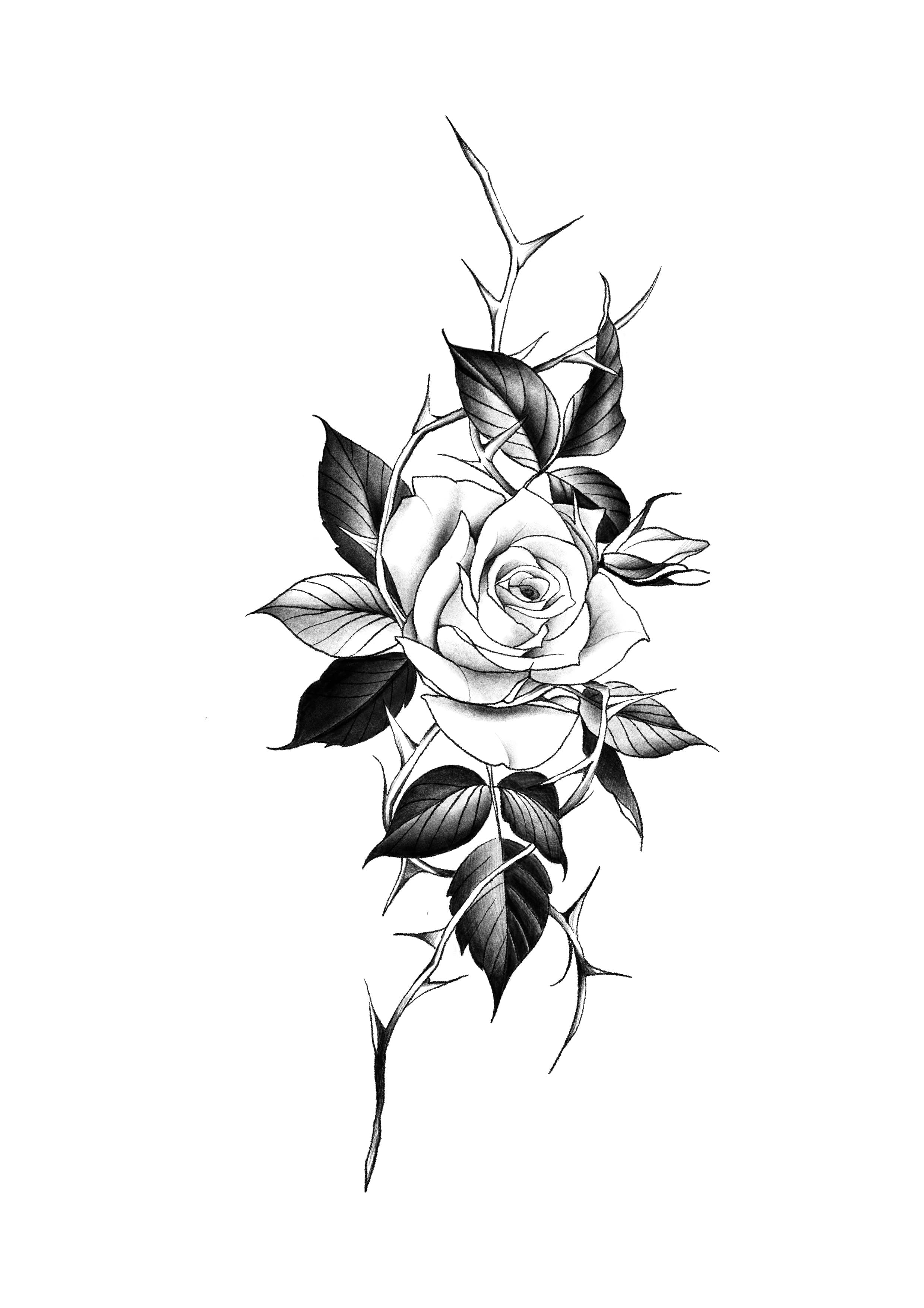 íí¬ëªšëž 구í©ëë€! êœíí¬ ì¥ë¯žíí¬ 15ë§ì - 1