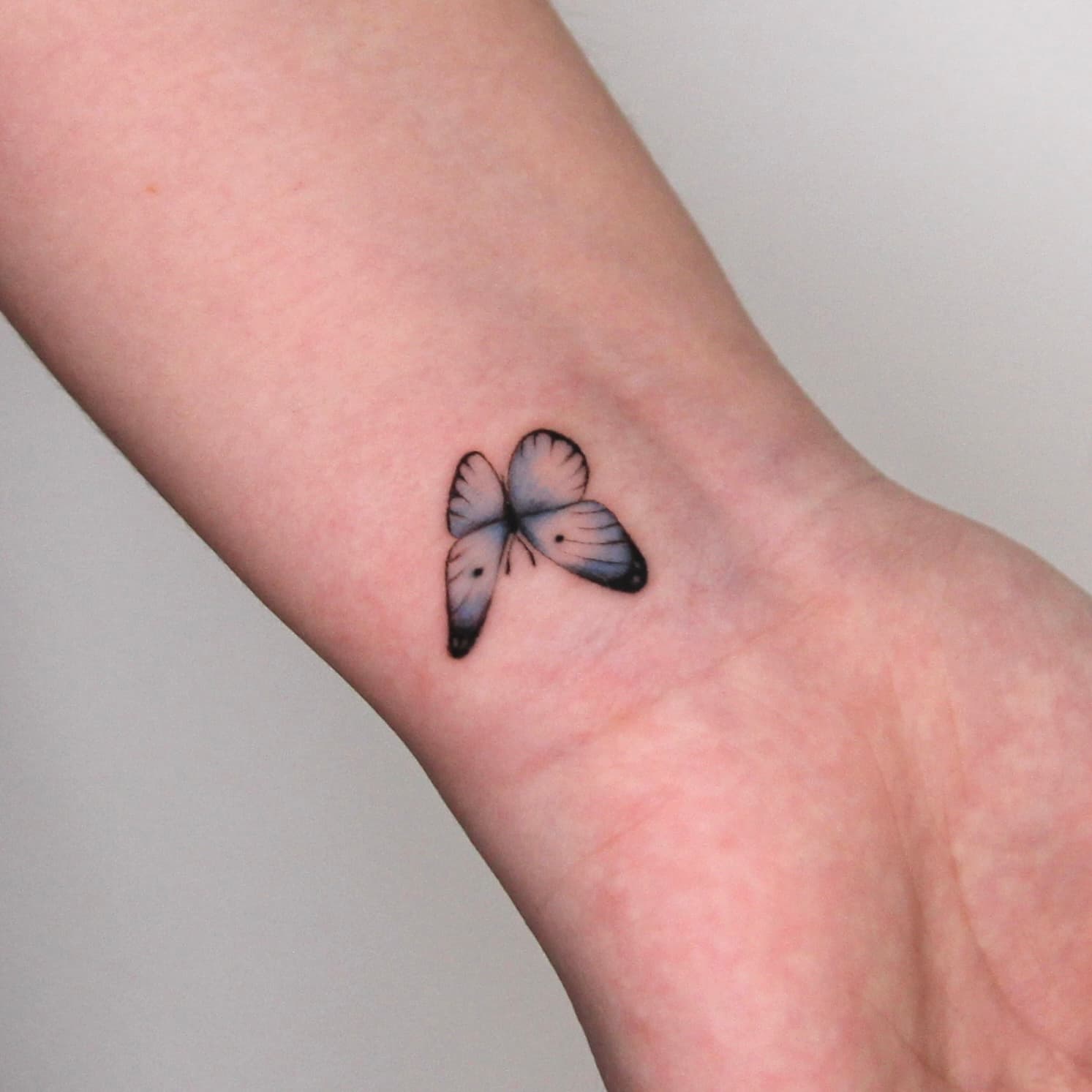 ๋๋นํํฌ ์์ํํฌ ์ธ๊ณ๋ํํฌ