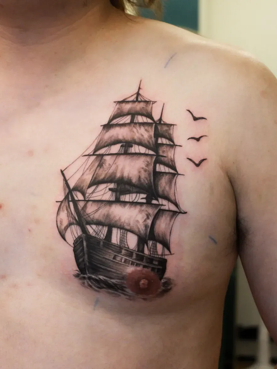 ๋ฒ์ ๋ฐฐ ํํฌ