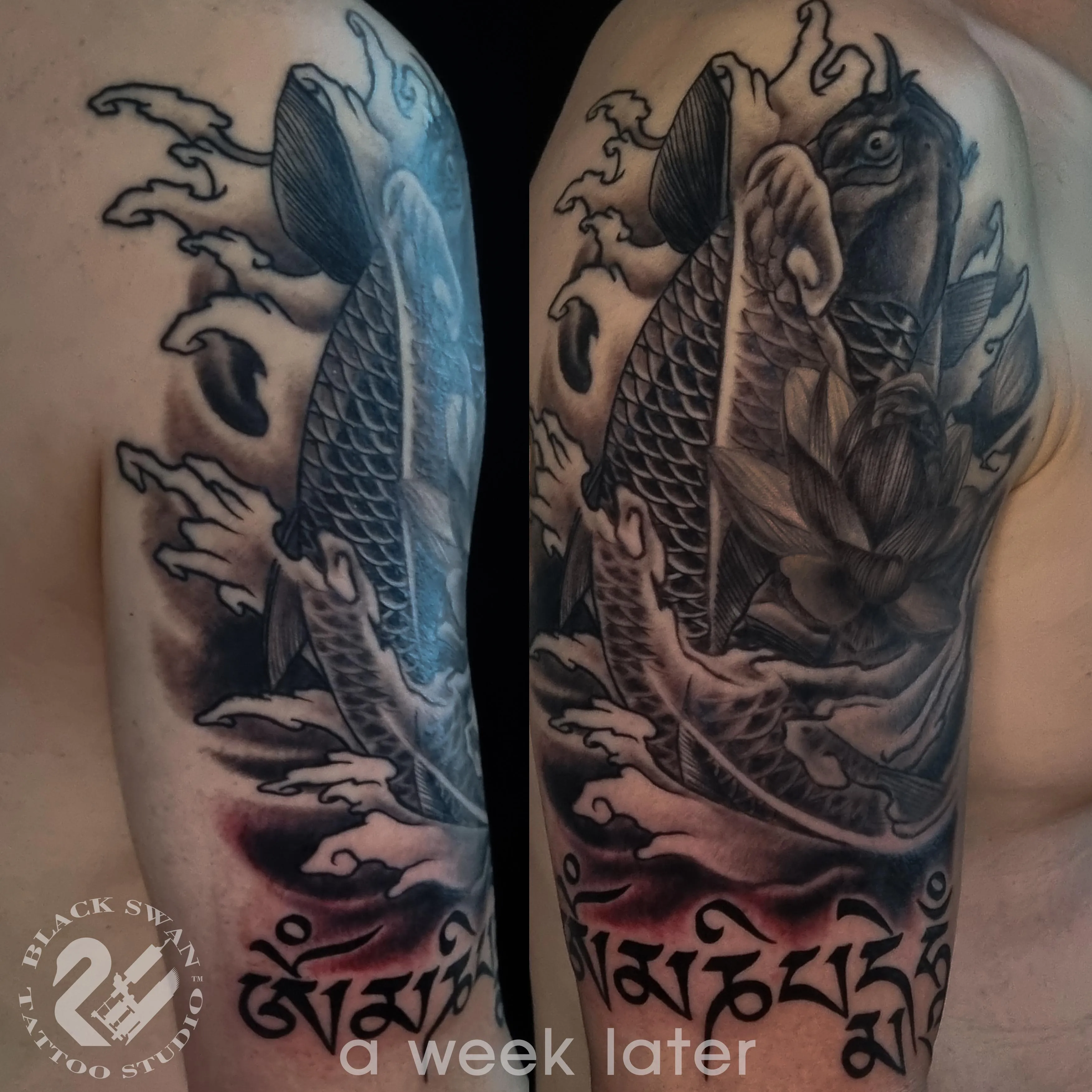 성남타투 /모든장르가능/ 재패니스뉴스쿨 잉어 연꽃 산크리스트어 이레즈미