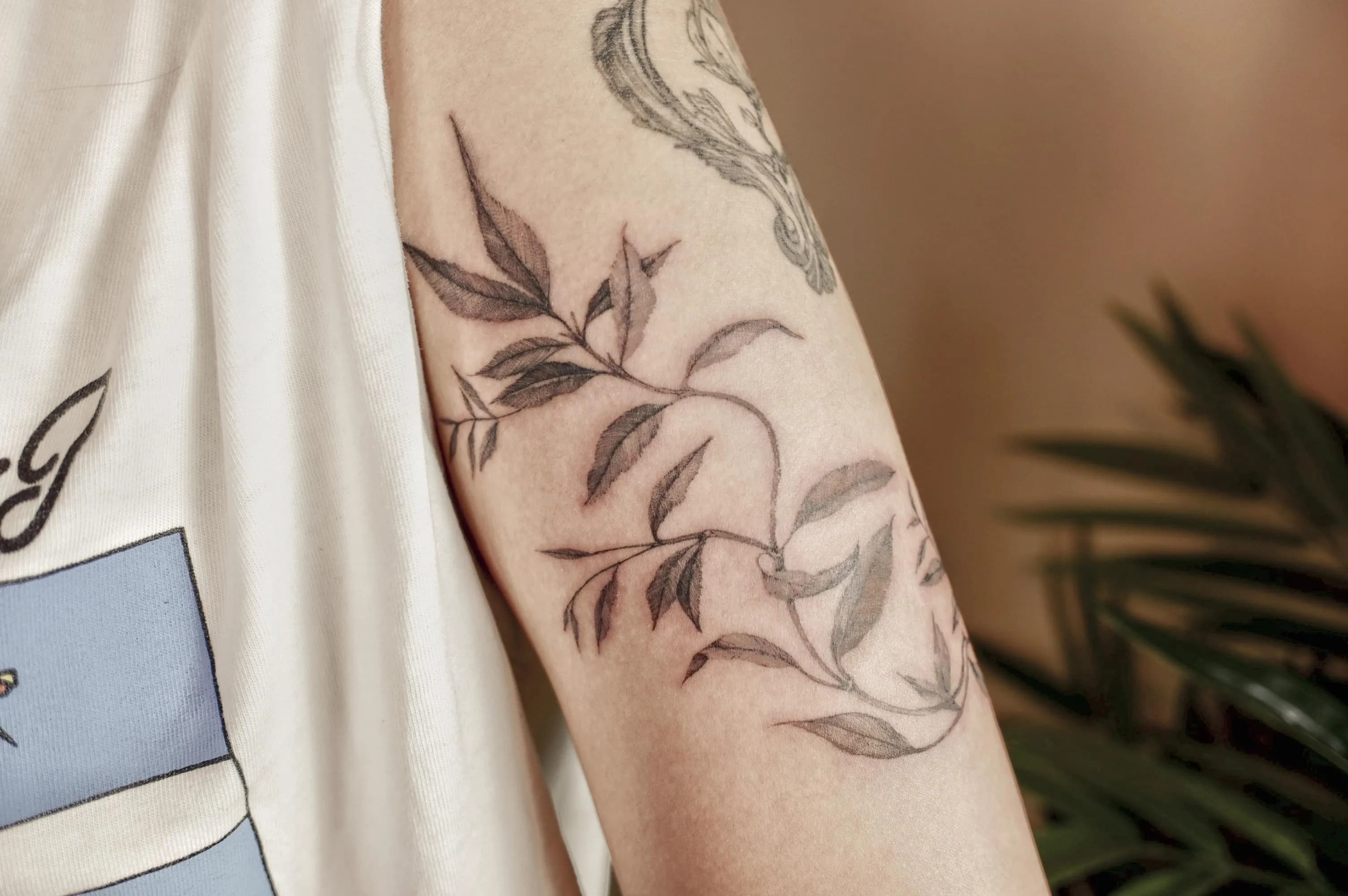 식물 덩쿨 tattooist_petal - 1