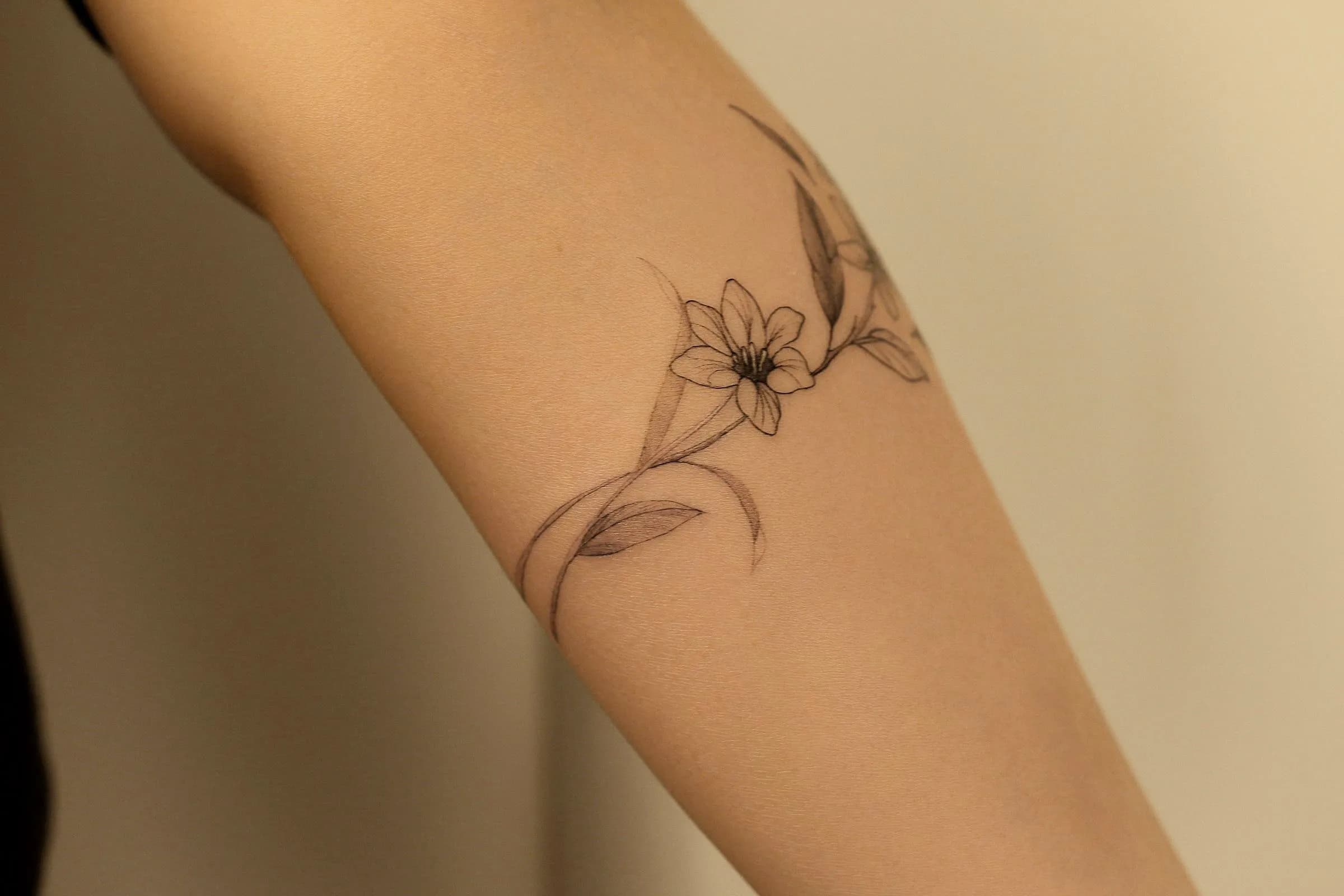 ๊ฝํฐํฌ, ๋ฒ๊ฝํํฌ, ์ฌ์ํํฌ, ํํฌ, ํ๋ํํฌ, ํํฌ์ถ์ฒ, ํํํฌ, ๋ ํํฌ - 1