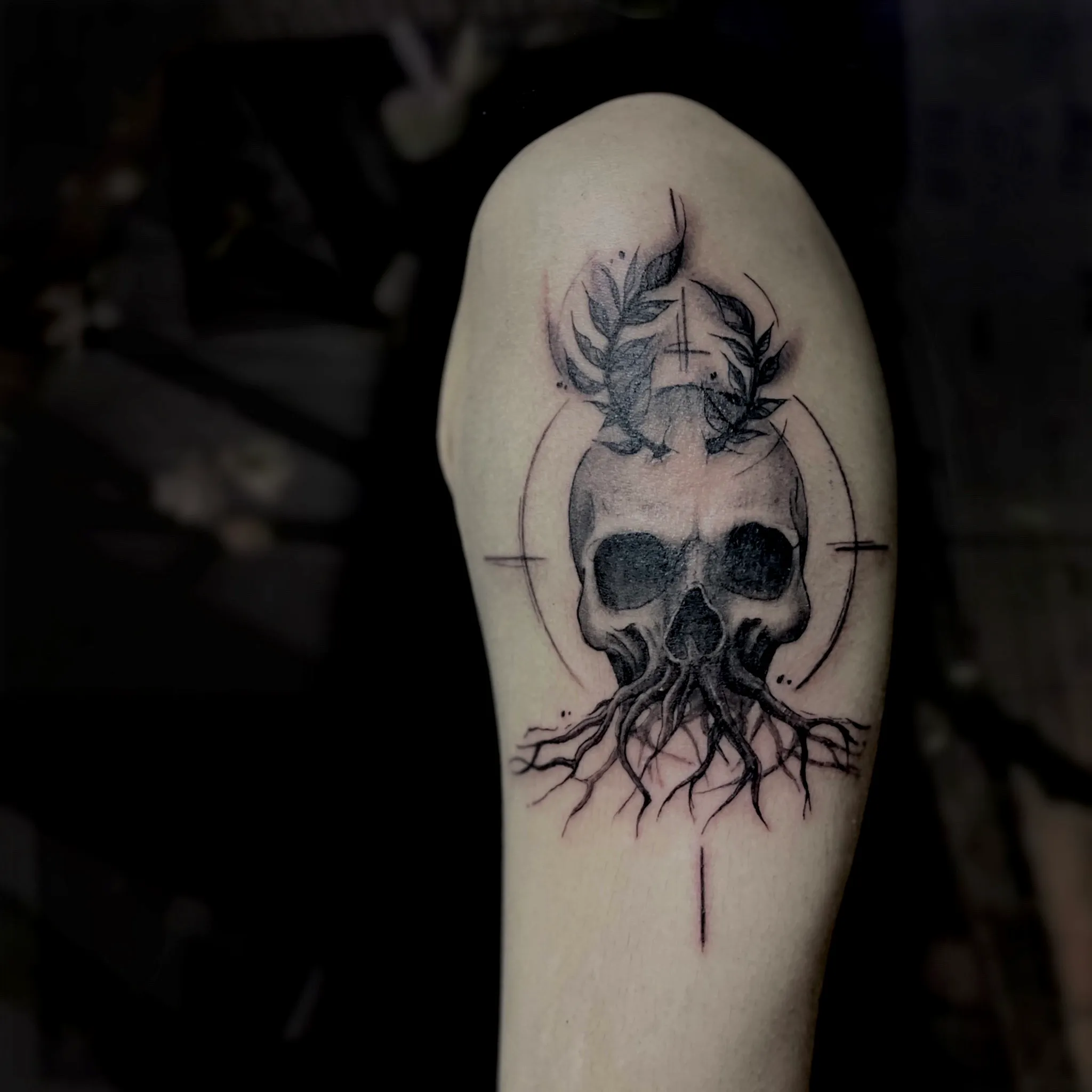 ์ํ ํด๊ณจ ๋ธ๋์๊ทธ๋ ์ด ํํฌ - 1