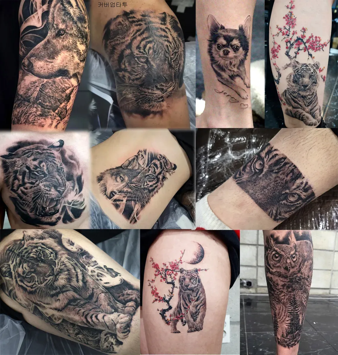 ๋๋ฌผํํฌ