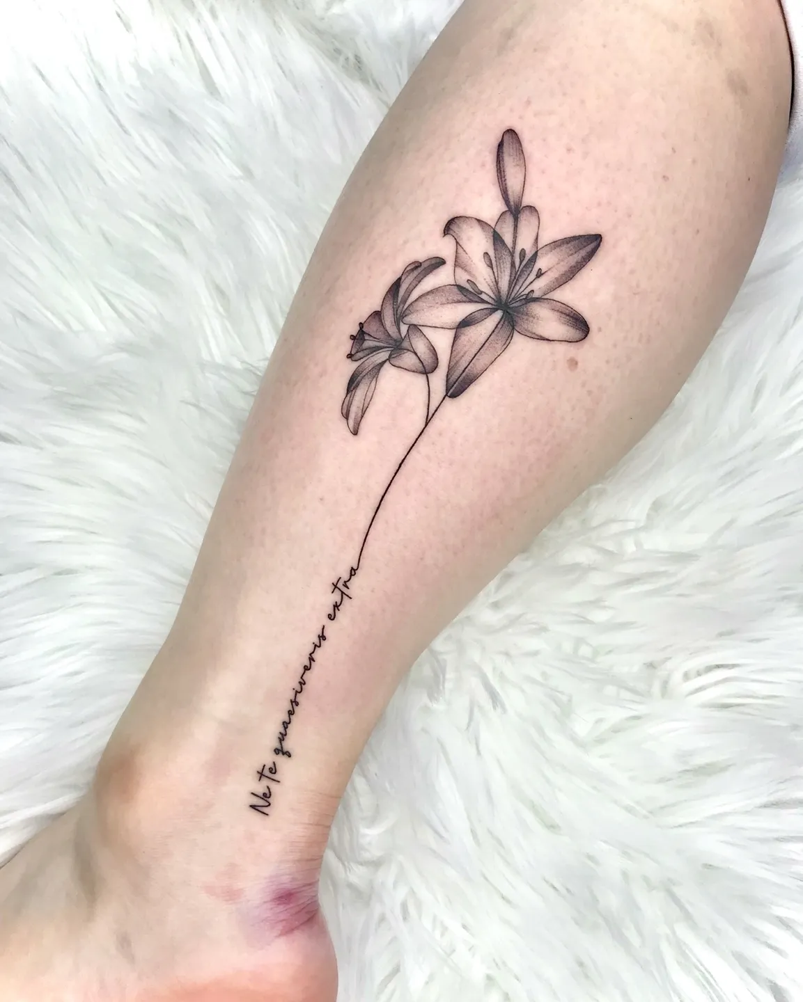 ์์ํํฌ ๊ฝํํฌ - 1