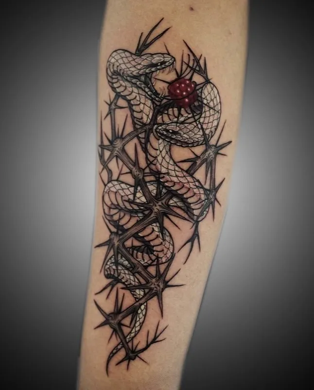 ๋ฑ๊ณผ ๊ฐ์์ด๋งค