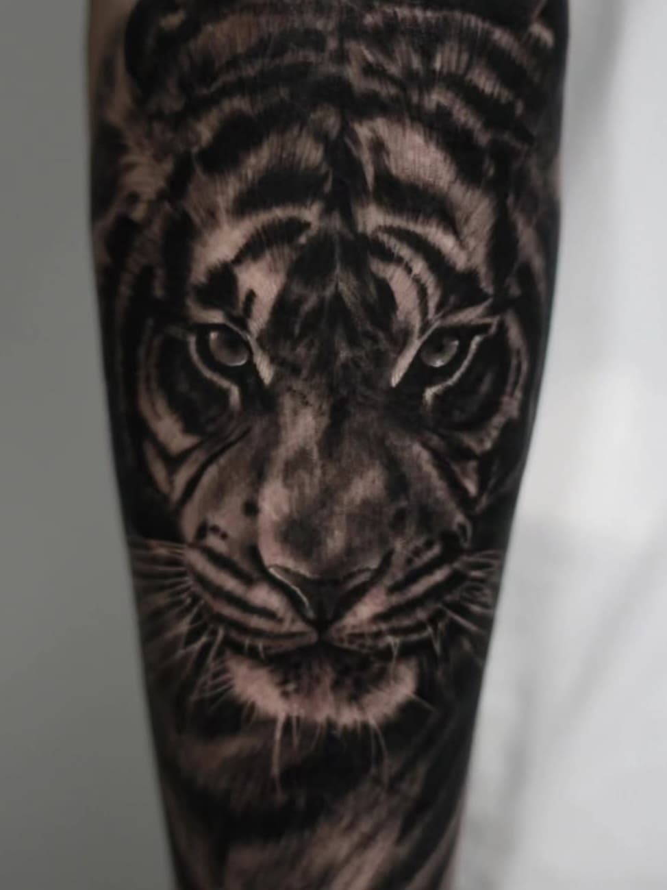 ํธ๋์ด๋ก ๊ฐ๋ฆฌ๋ ์์ฒ