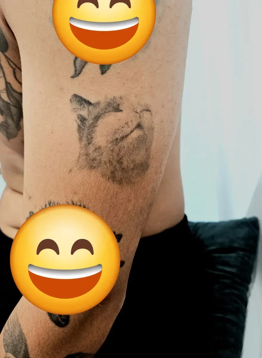 고양이 타투 - 1