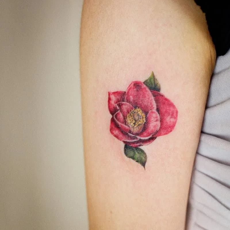 ๋๋ฐฑ๊ฝ ํํํฌ tattooist_petal - 1