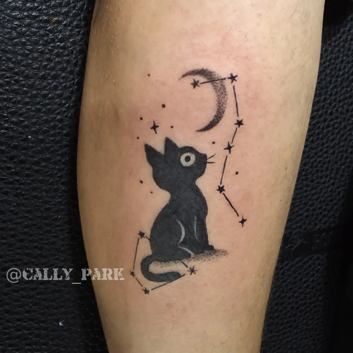 일러스트~ 반려묘와 별자리