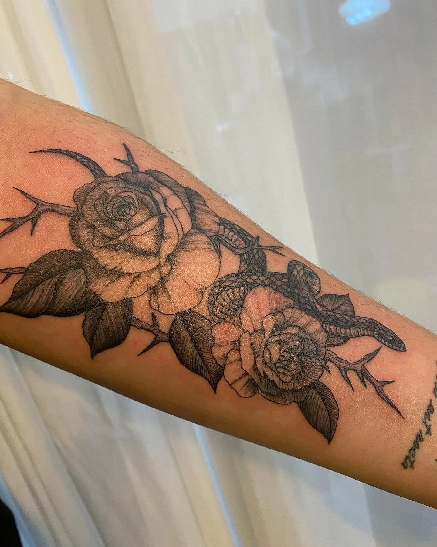 ์ฅ๋ฏธ ๊ทธ๋ฆฌ๊ณ ๋ฑ