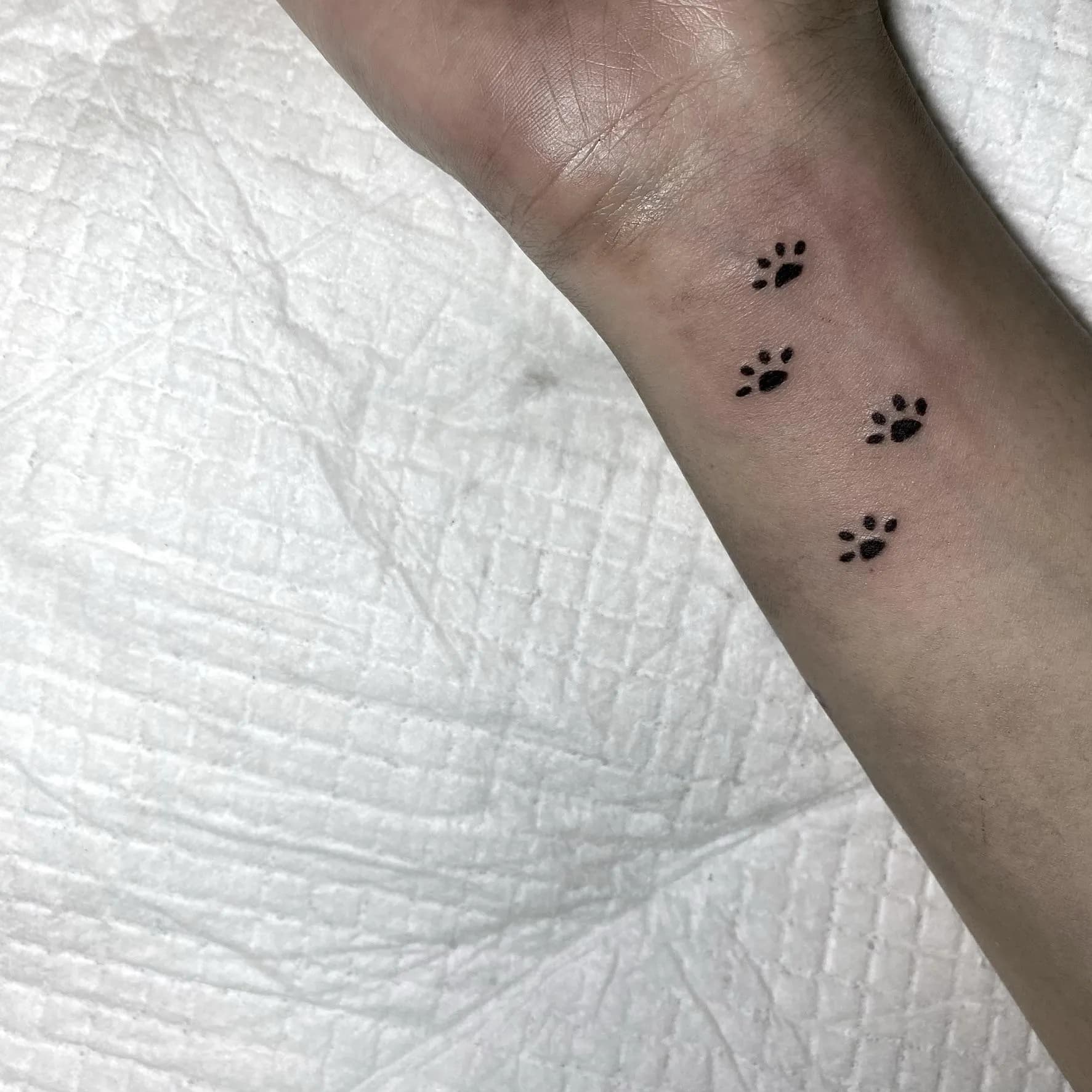 귀여운 강아지 발바닥 미니타투