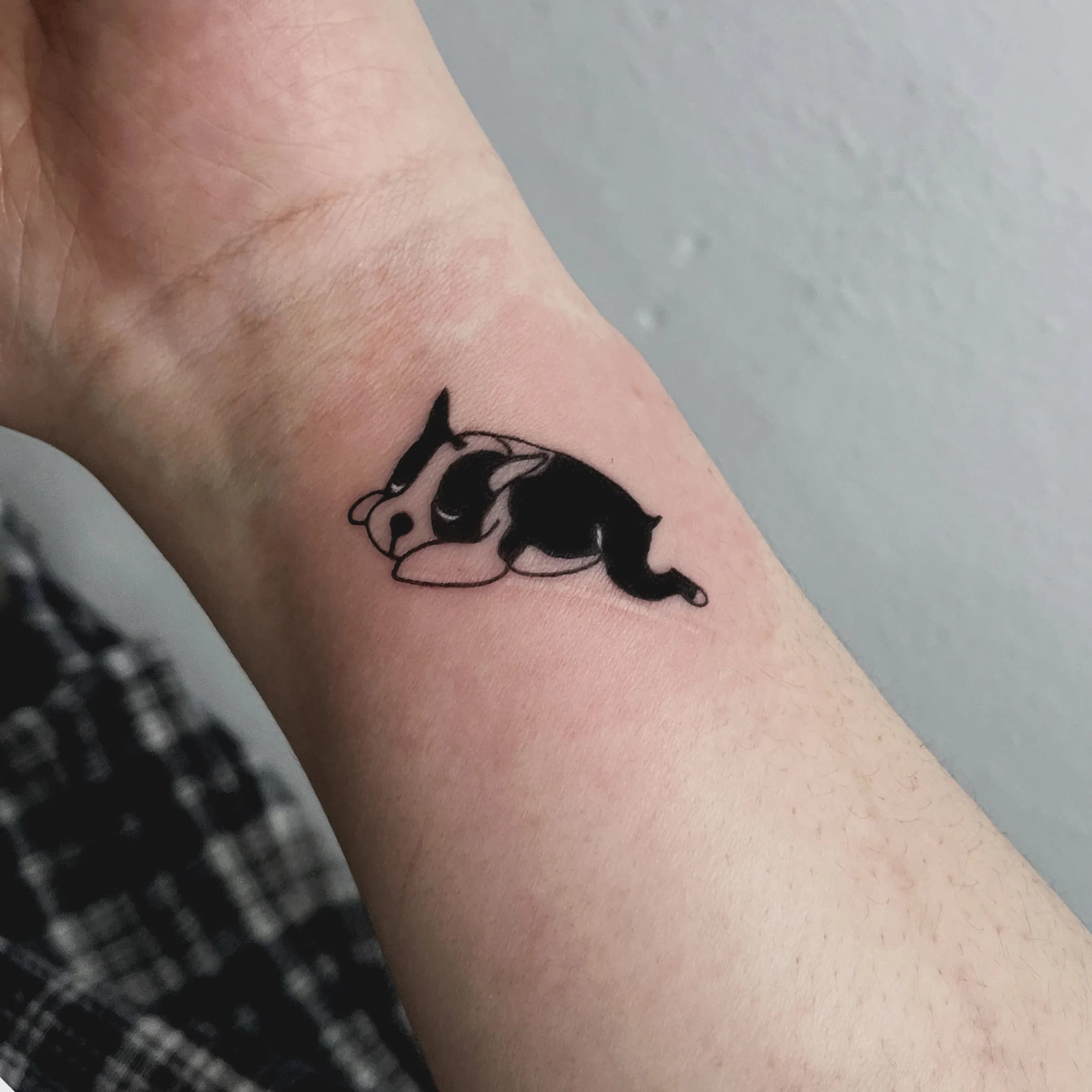 ๊ฐ์์ง ์บ๋ฆญํฐ ๋ฏธ๋ํํฌ