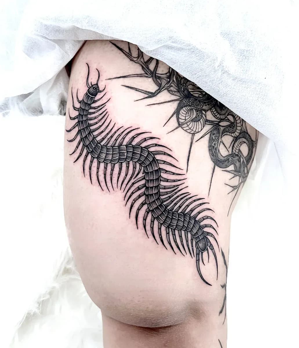 ์ธ์ฒํํฌ ์ฃผ์ํํฌ ์ง๋คํํฌ - 1