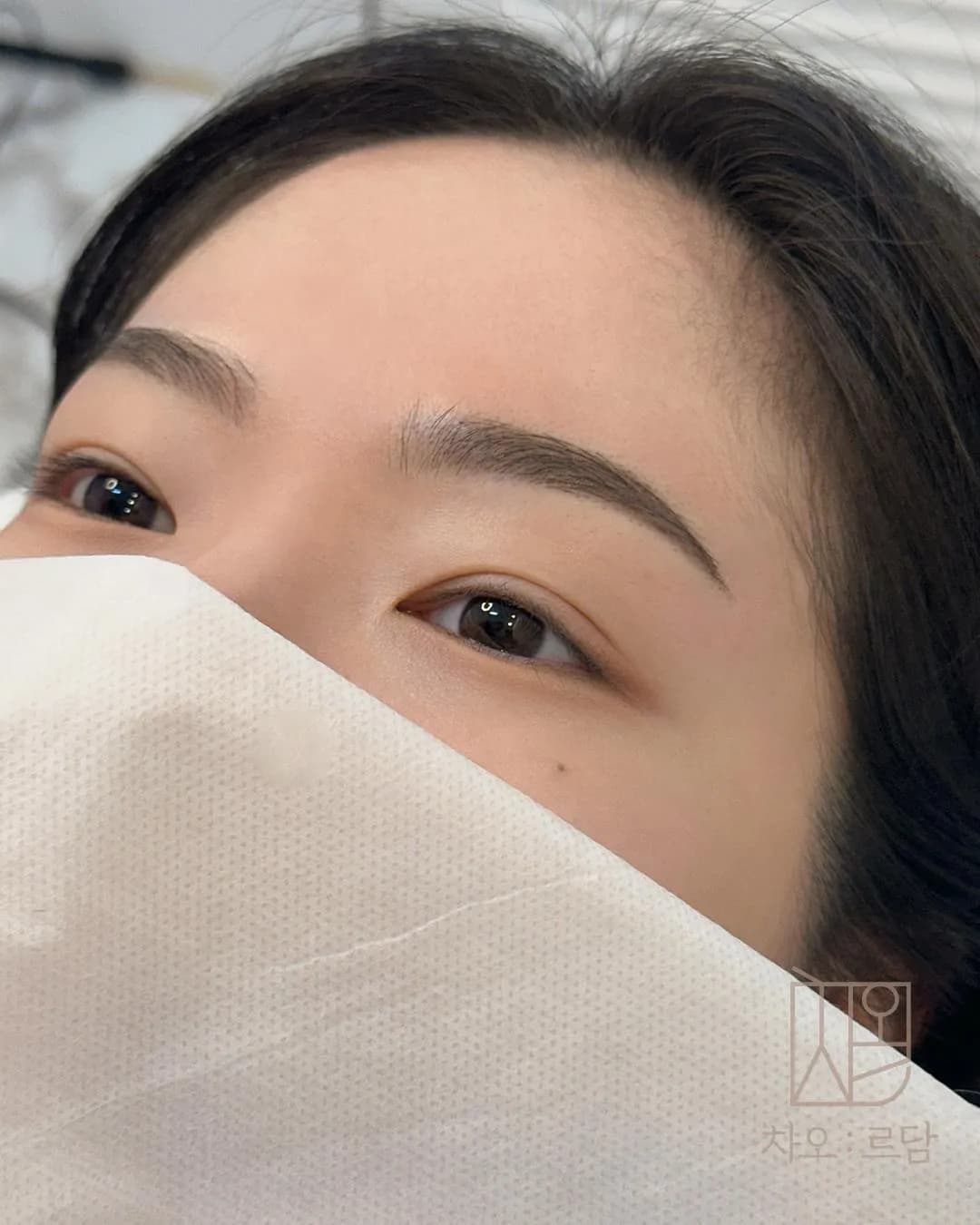 차오르담 여자눈썹