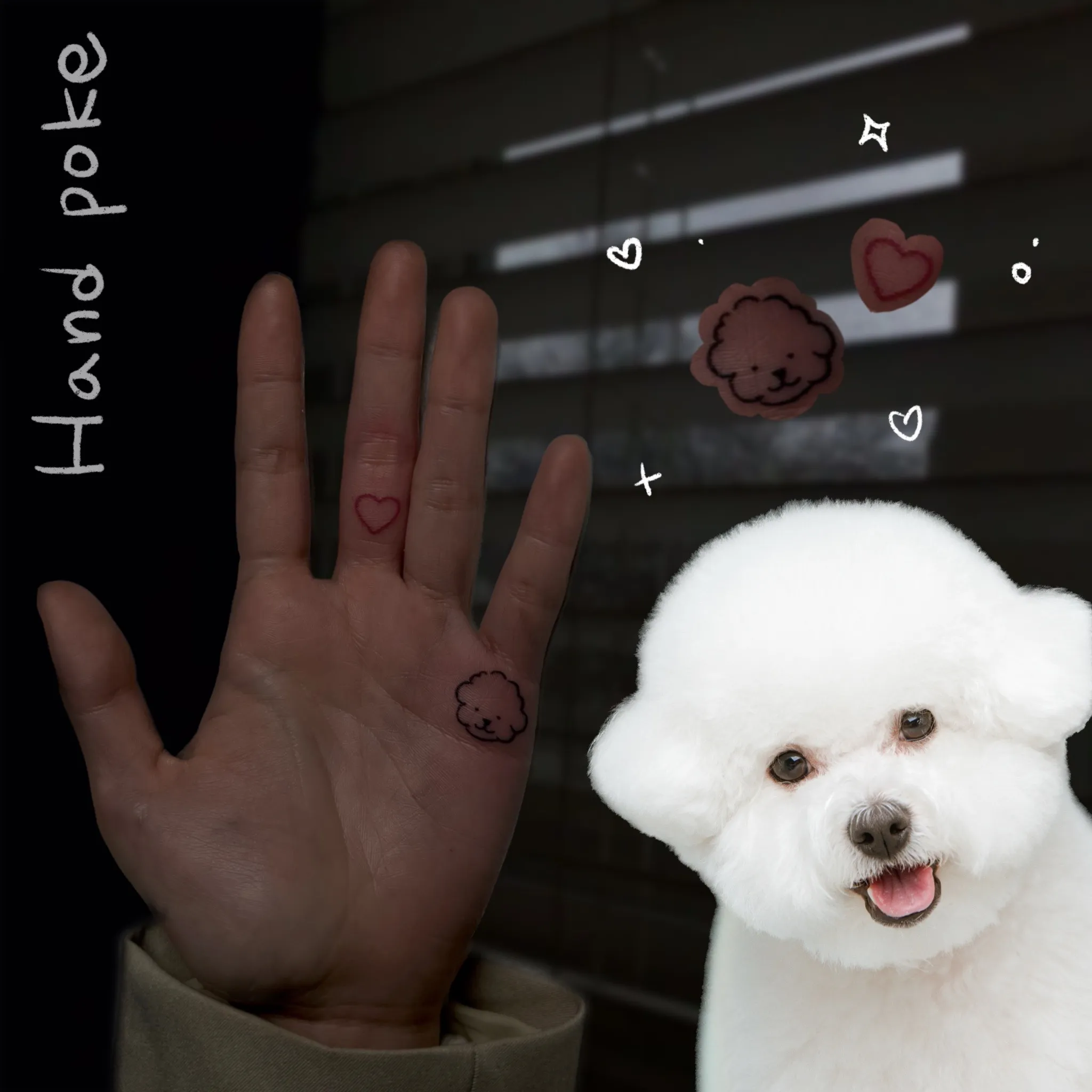 ๋ฐ๋ ค๊ฒฌ๊ณผ ํํฌ ์๊ฐ๋ฝ ํธ๋ํฌํฌ - 1