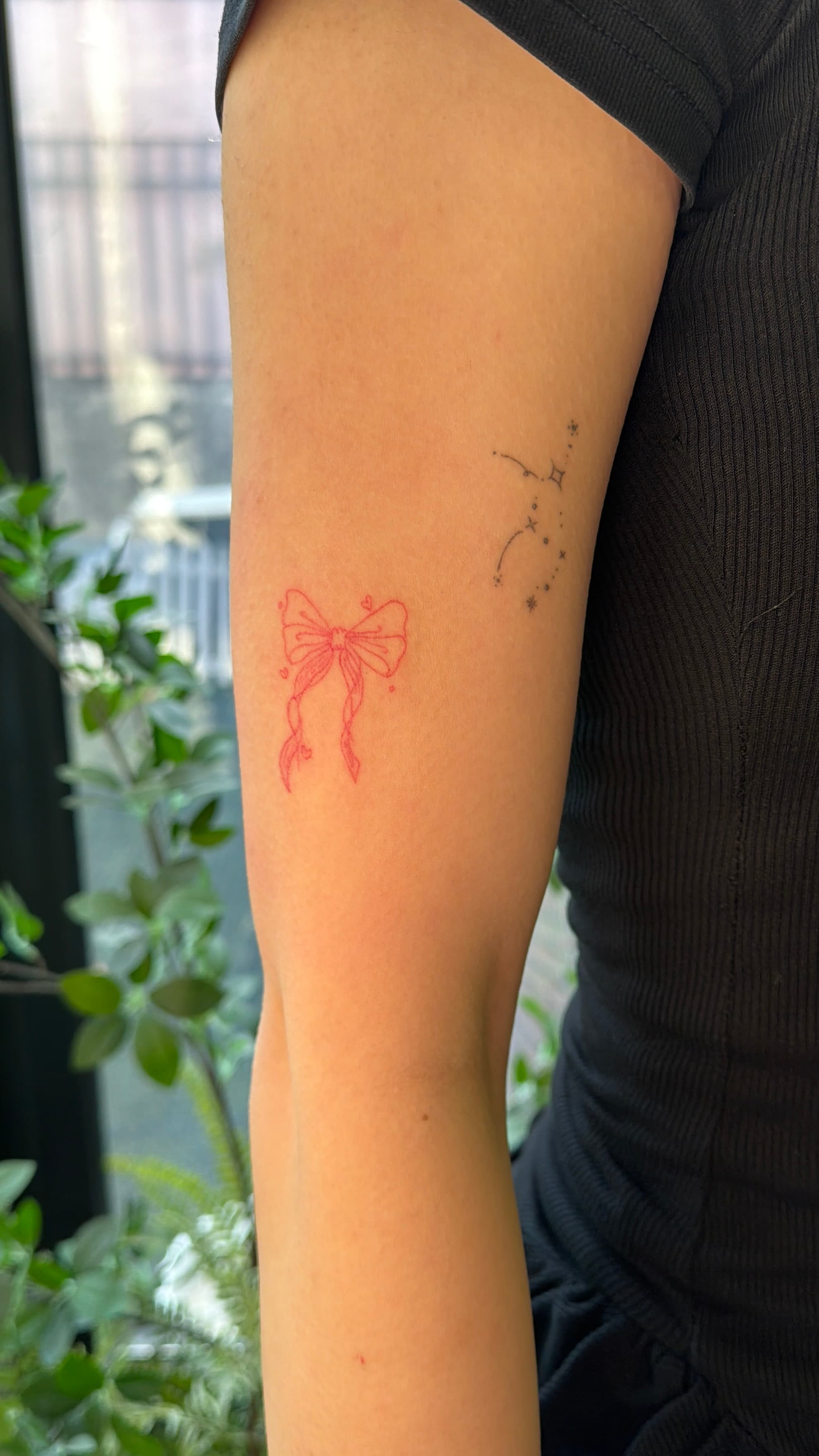 ๋ฆฌ๋ณธํํฌ,ํํฌํํฌ