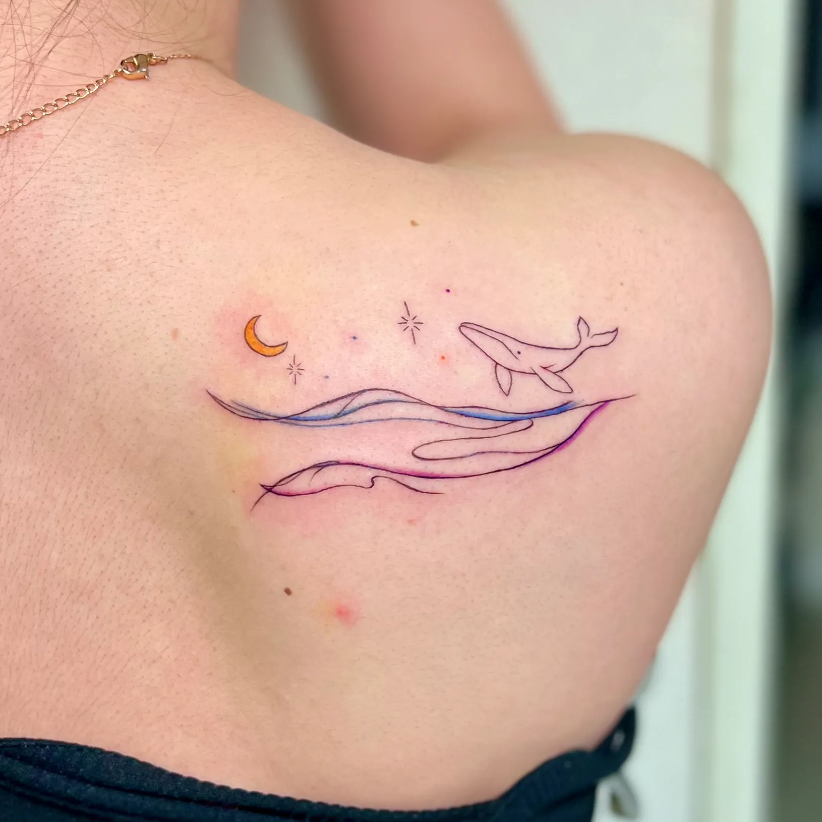 ๊ณ ๋ํํฌ ํ๋ํํฌ ๋ฌํํฌ - 1