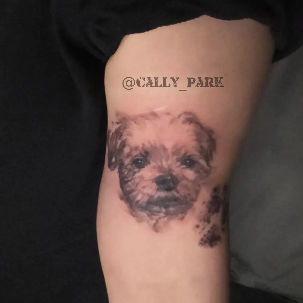 ์์ฑํํํฌ- ๋ฐ๋ ค๊ฒฌ