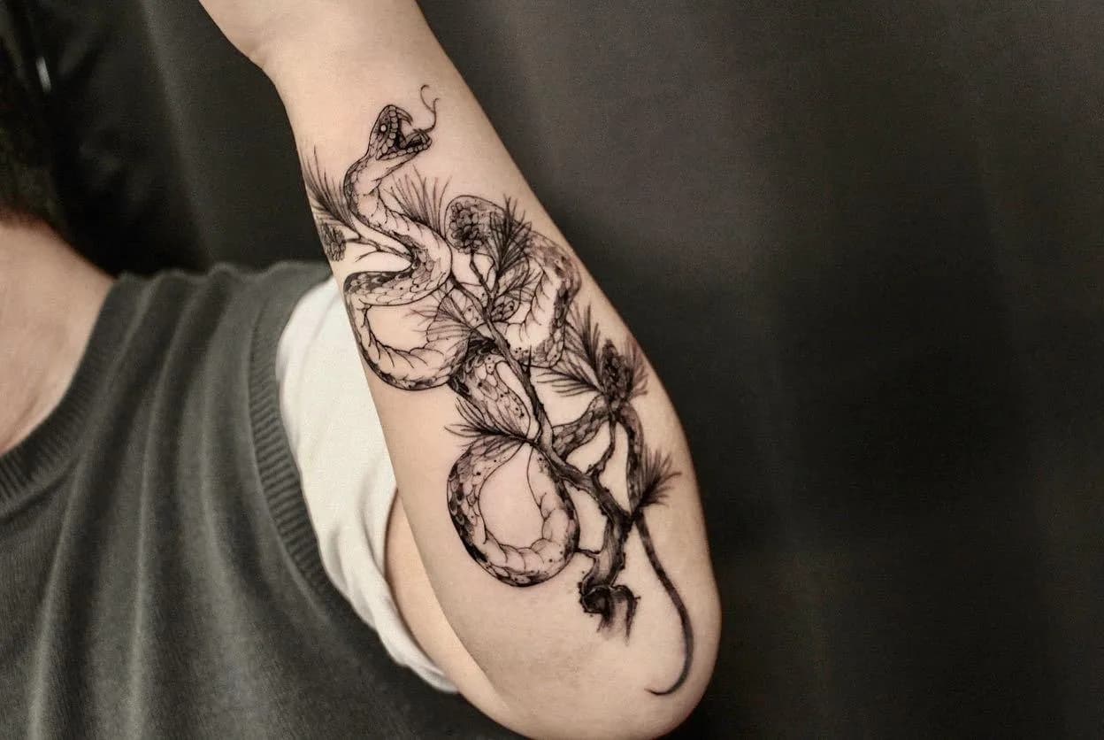 ๋ฑ๊ณผ์๋๋ฌดํํฌ