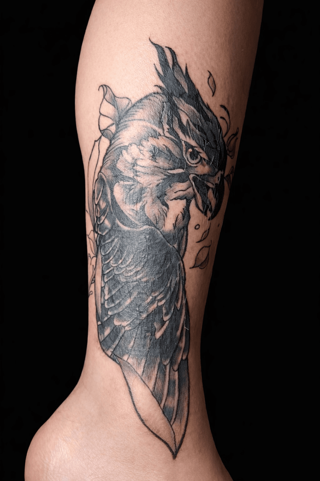 ๋งค ํํฌ(์ปค๋ฒ์
)