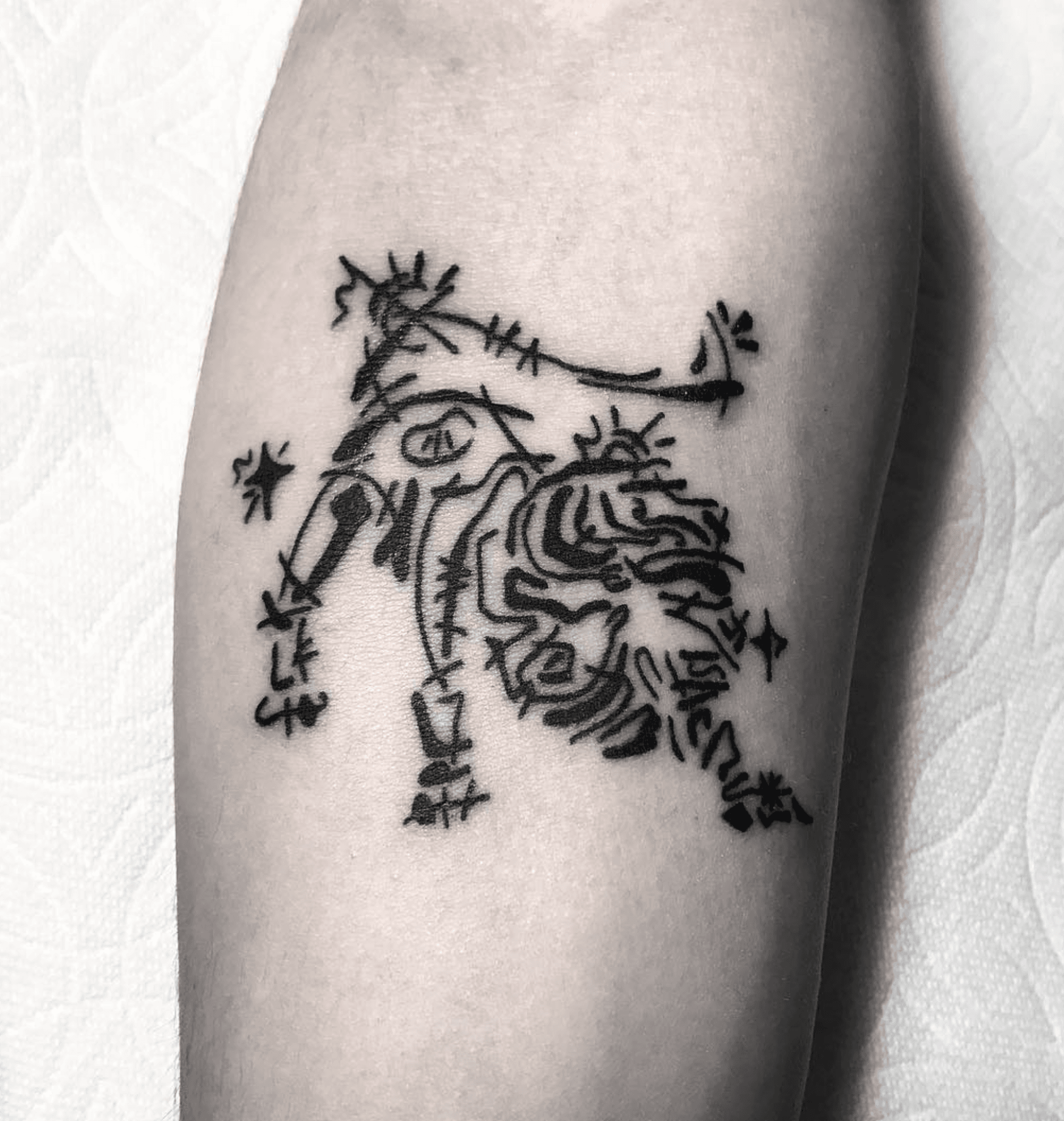 사자자리 별자리