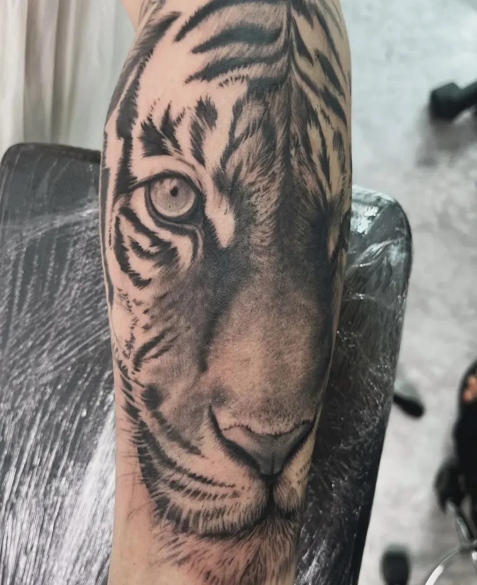 ํธ๋์ดํํฌ ๋ธ๋์ค๊ทธ๋ ์ด