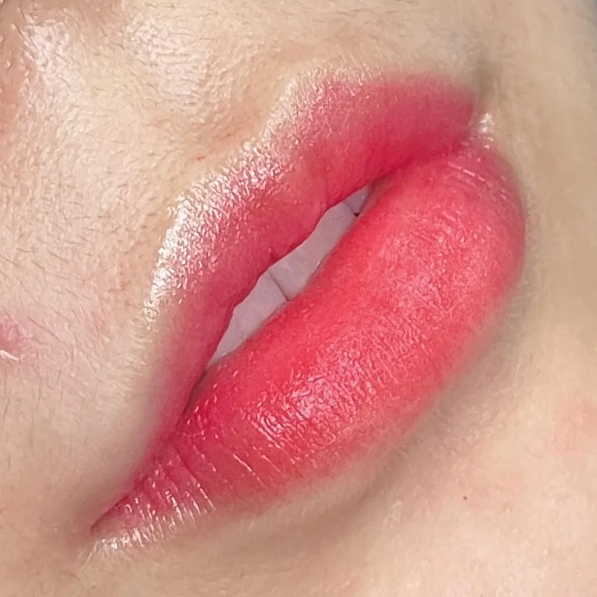 입술 1등 주티크샵