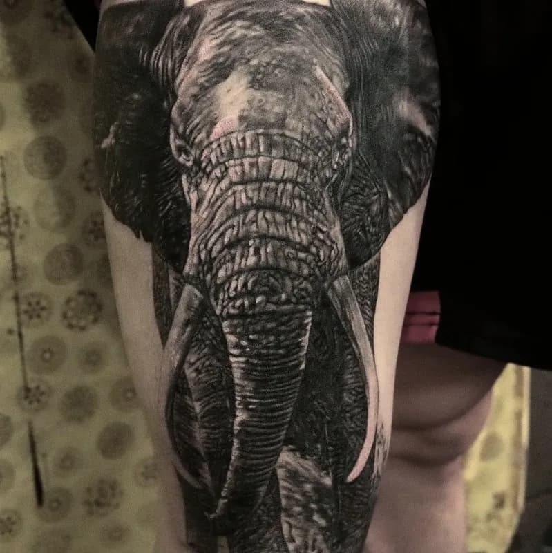 ๋ธ๋์๊ทธ๋ ์ด ์ฝ๋ผ๋ฆฌํํฌ - 1