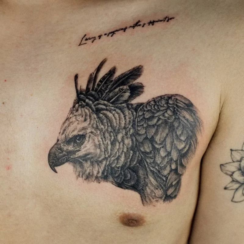 독수리 남자 가슴타투 tattooist_petal - 1