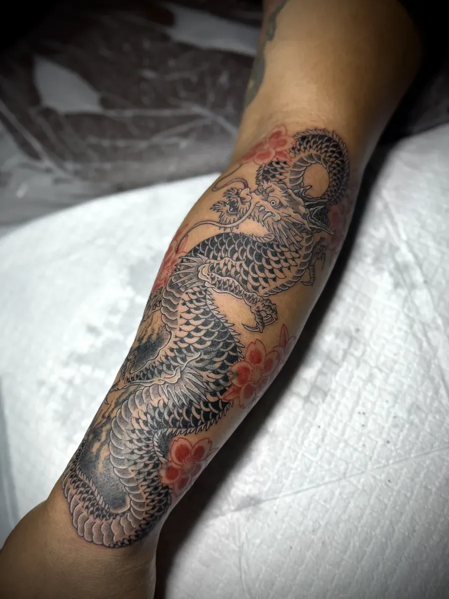 커버업 용과 벚꽃