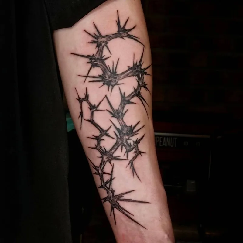 블랙워크 가시나무