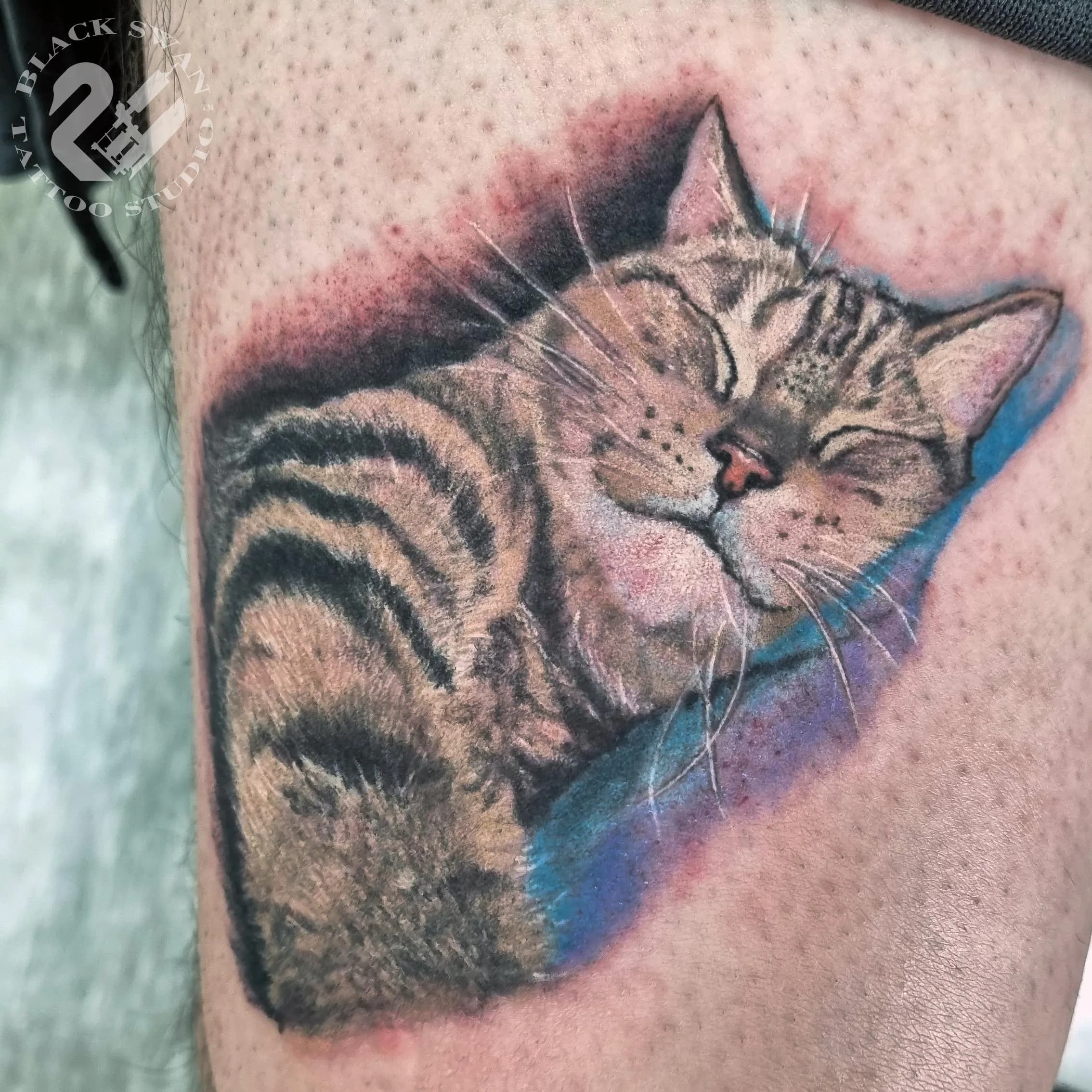 성남타투 /모든장르가능/ 반려동물 고양이 컬러타투 가족 귀여운 야옹이 캣