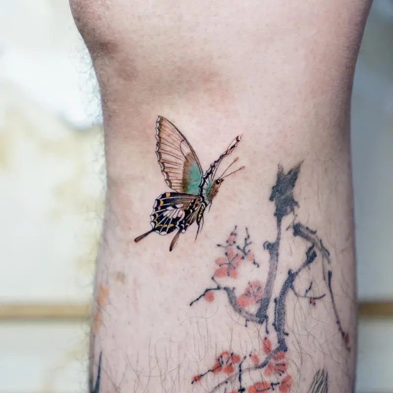 ๋๋นํํฌ ๋ฏผํ